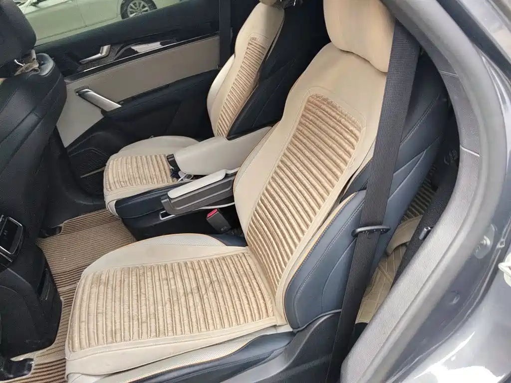 BYD Tang New Energy 2022 DM-p 215KM AWD Flagship фото 14