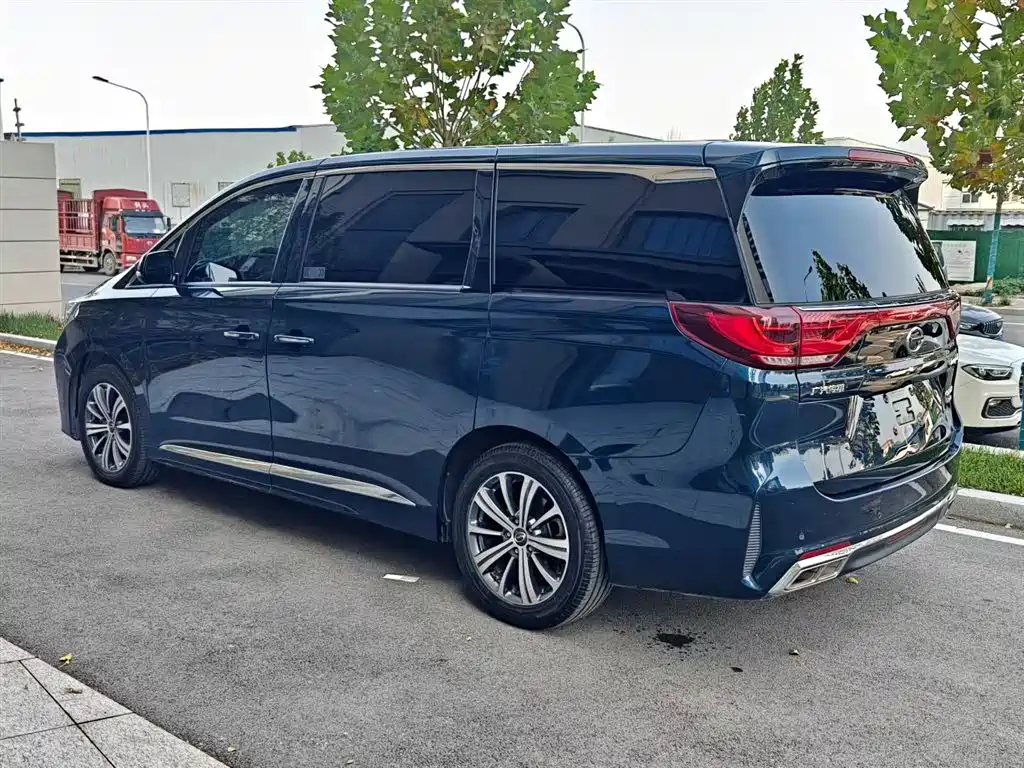 GAC Trumpchi Trumpchi M8 2020 Pilot 390T Prestige Edition фото 12