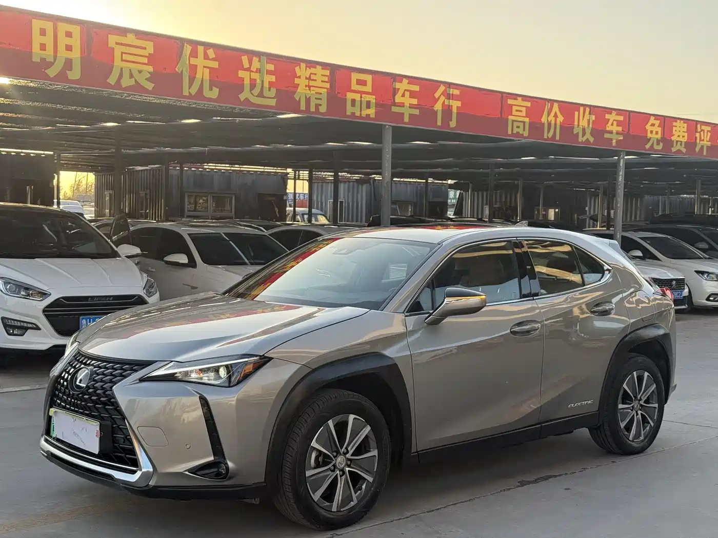 Lexus UX Electric 2020 300e Pure Yue Edition