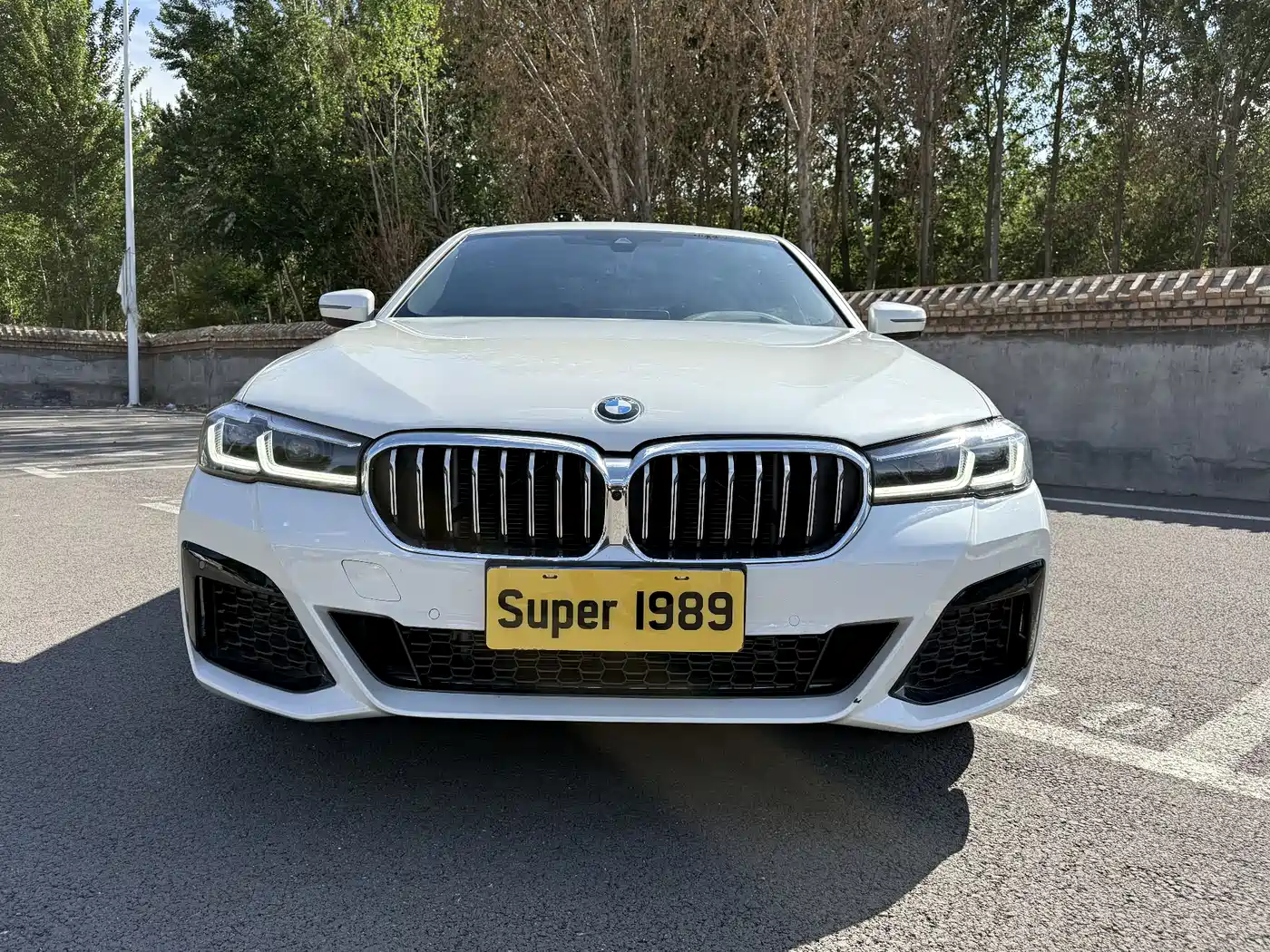 BMW 5 Series 2021 530Li Premium M Sport Package фото 2