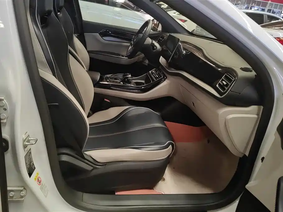 BYD Qin PLUS 2021 EV 400KM Luxury Model фото 8