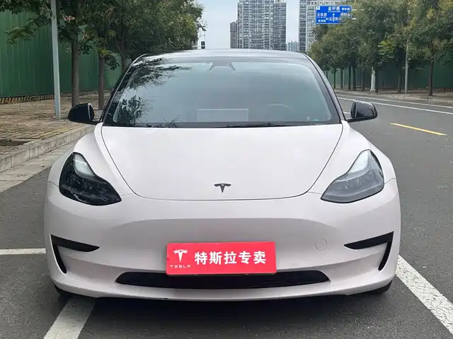 Tesla Model 3 2021 Standard Range Rear-Wheel Drive Upgrade — фото 2