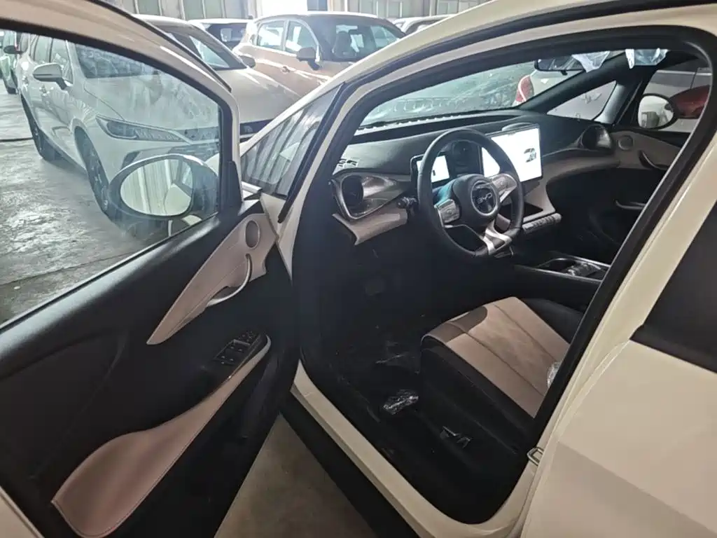 BYD Dolphin 2026 2025 420km Freedom Edition