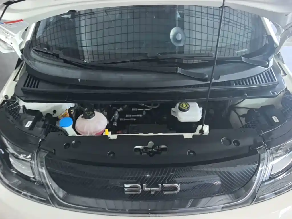 Photo 20 - BYD Dolphin