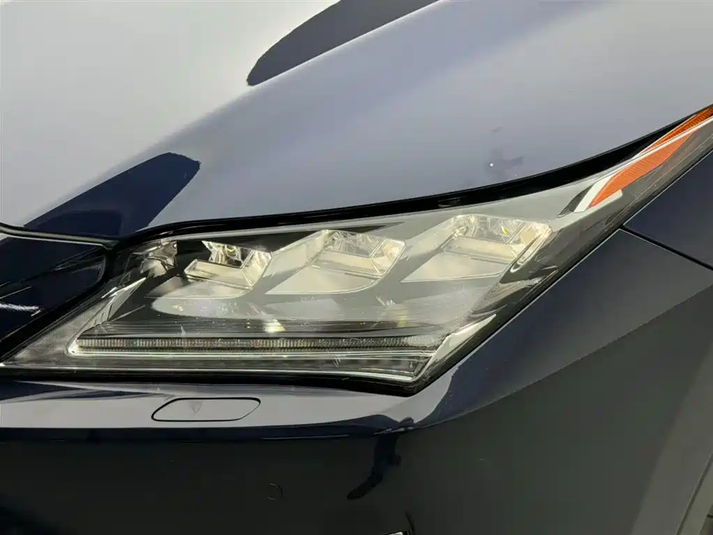 Lexus RX 2016 300 AWD F SPORT Edition China V фото 14