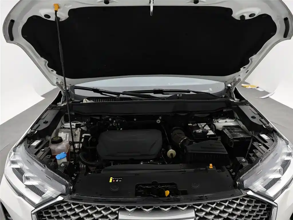 Haval H6 2022 3rd Gen 1.5T Auto 2WD Pro фото 17