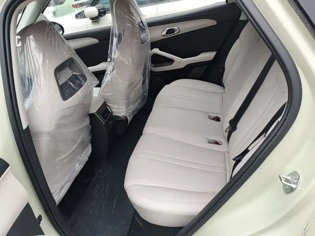 BYD Yuan UP 2026 2025 Model 301KM Navigator