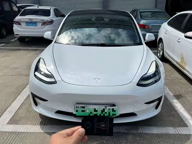 Tesla Model 3 (Import) 2019 Standard Range RWD Upgraded Edition — фото 1