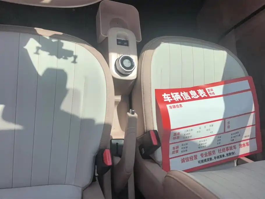 Geely Galaxy Panda 2023 Panda Mini 200km Lucky Duck Limited Edition фото 16