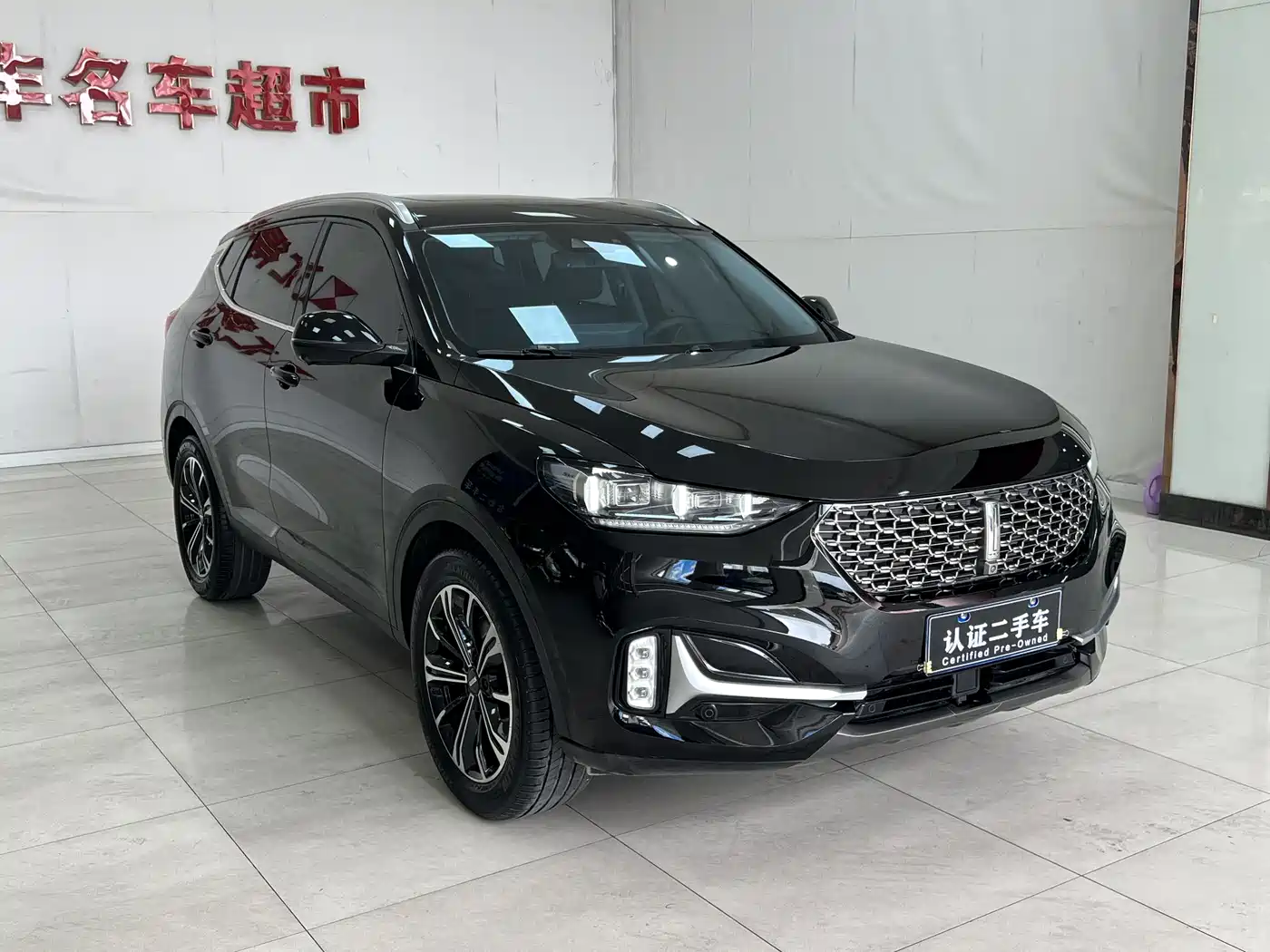 WEI PAI WEI BRAND VV6