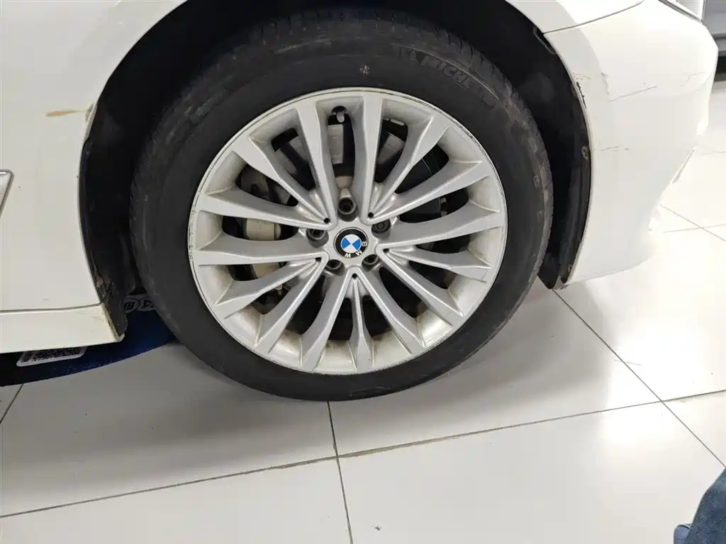 BMW 5 Series 2018 530Li xDrive Luxury Package фото 14