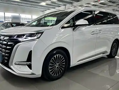 Denza D9