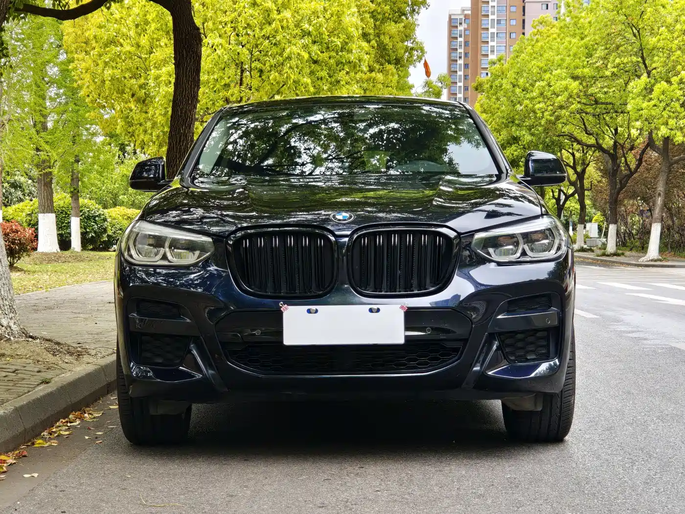 BMW X4 2020 xDrive25i M Sport Package фото 2