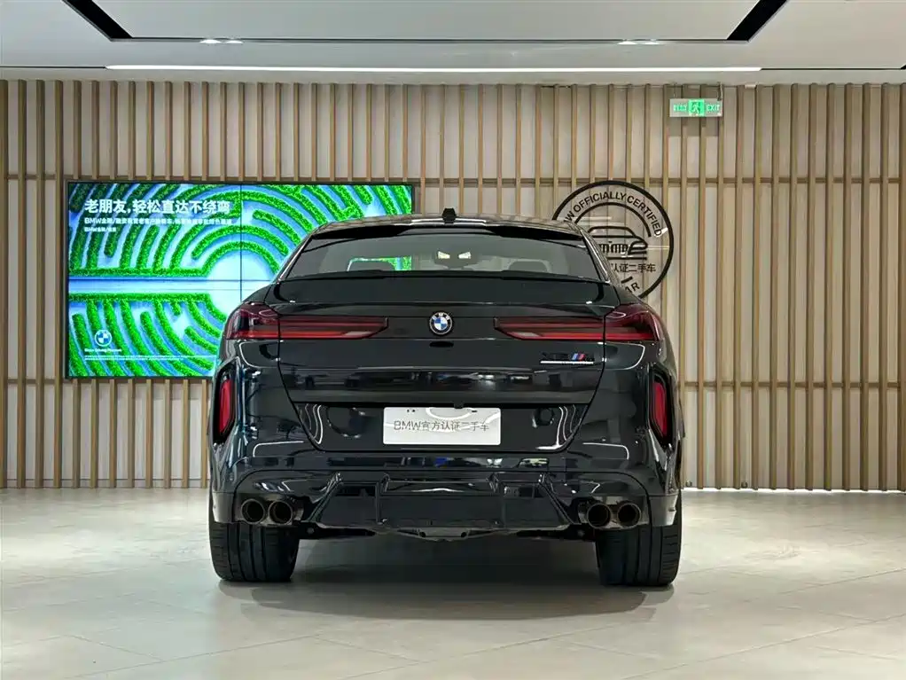 Photo 10 - BMW X6 M
