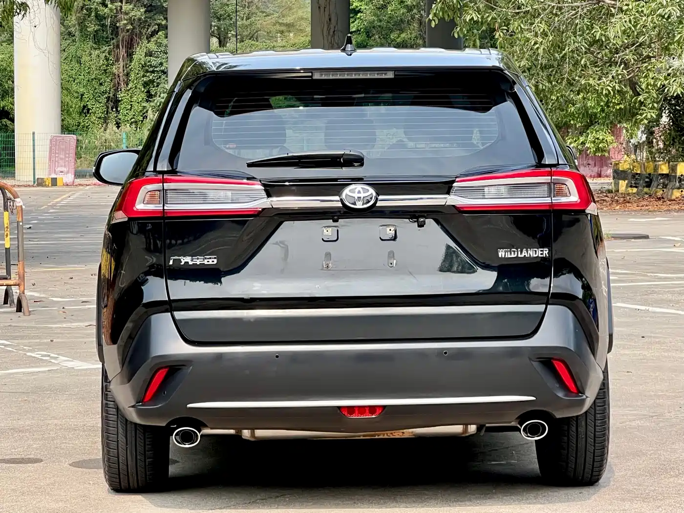Toyota Wildlander 2020 2.0L CVT 2WD Luxury Edition фото 16