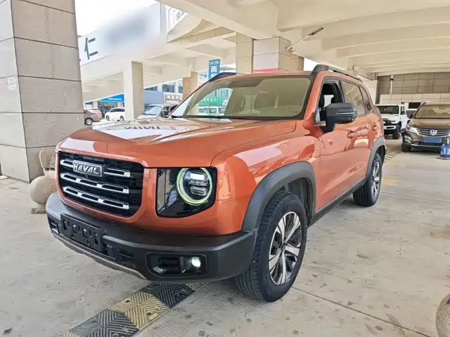 Haval Big Dog 2021 1.5T DCT 2WD Labrador Edition
