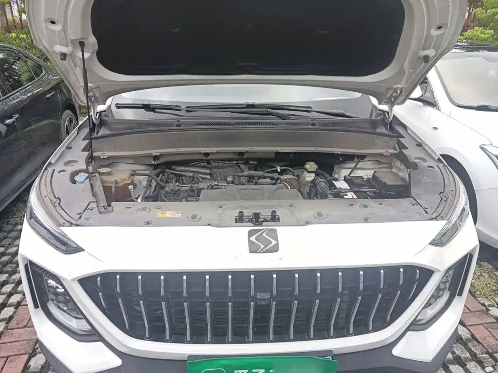 Sehol X8 2020 2021 300T DCT Premium Smart Connect Edition 5-seater