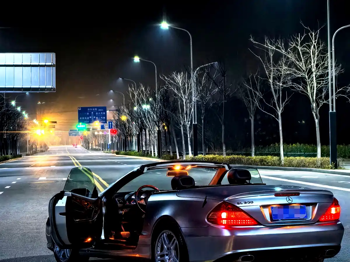 Mercedes-Benz SL-Class 2010 SL 300 фото 10