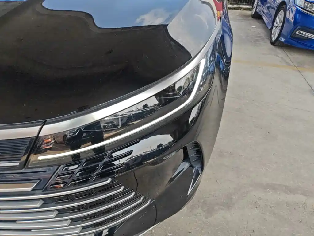 BYD Destroyer 05 2024 2024 Glory Edition DM-i 55KM Luxury