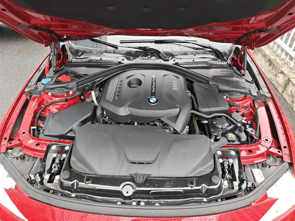 BMW 3 Series 2017 320Li Fashion фото 20