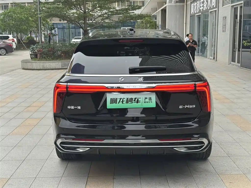 Hongqi HONGQI E HS9