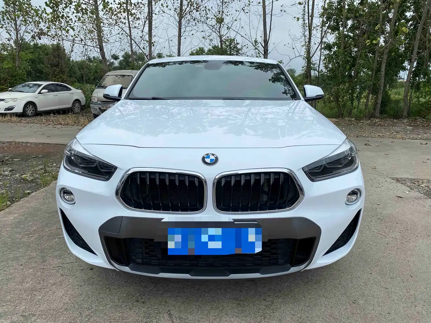 BMW X2 (Import) 2018 2018 sDrive25i Luxury M Off-Road Package China V
