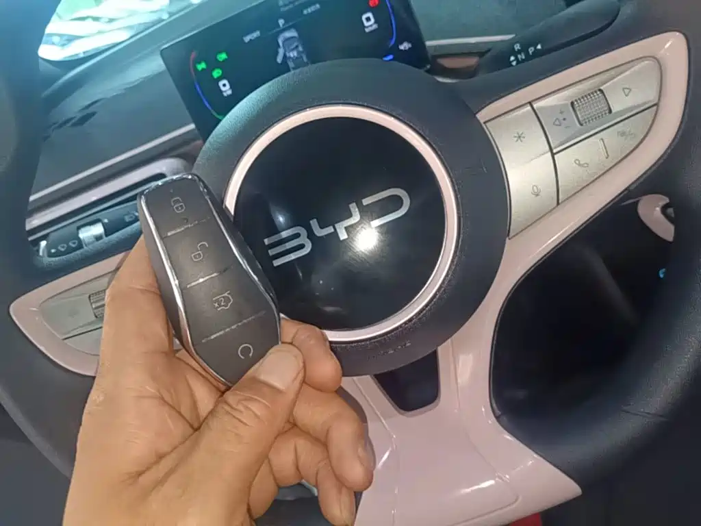 BYD Seagull 2026 2025 Smart Drive Edition 305km Vitality Version