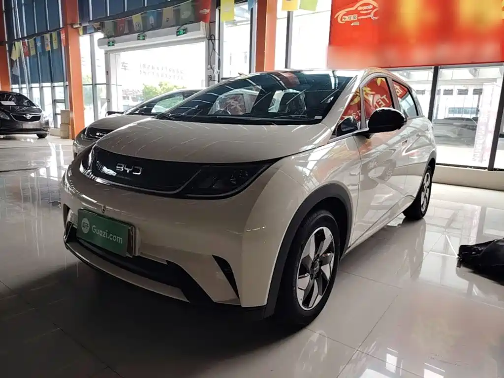 BYD Dolphin 2026 2025 420km Freedom Edition