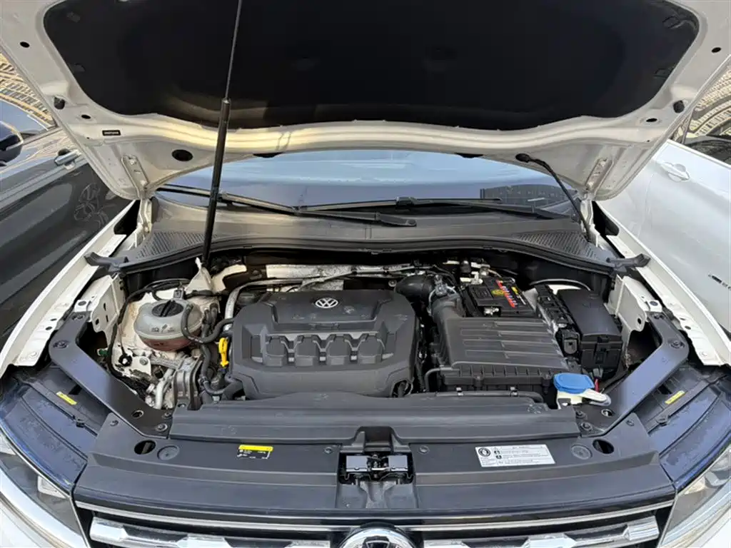 Volkswagen Tiguan L 2019 330TSI Automatic 2WD Trend Edition China VI фото 19