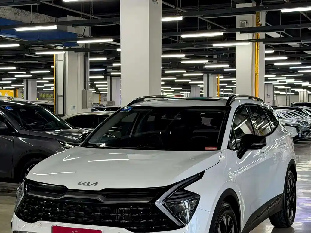 KIA LION PLATINUM EXPANDS THE WORLD