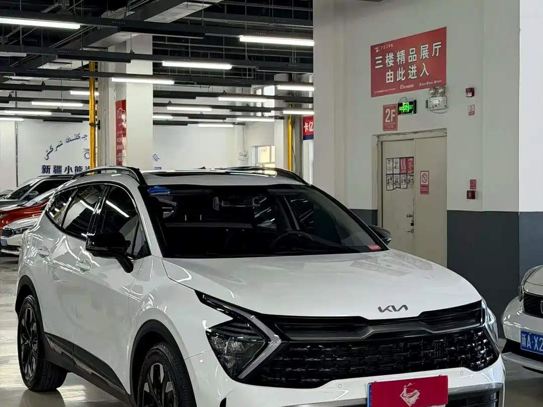 KIA LION PLATINUM EXPANDS THE WORLD