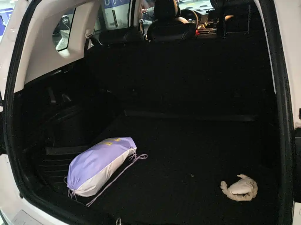 صورة 5 - Haval H6