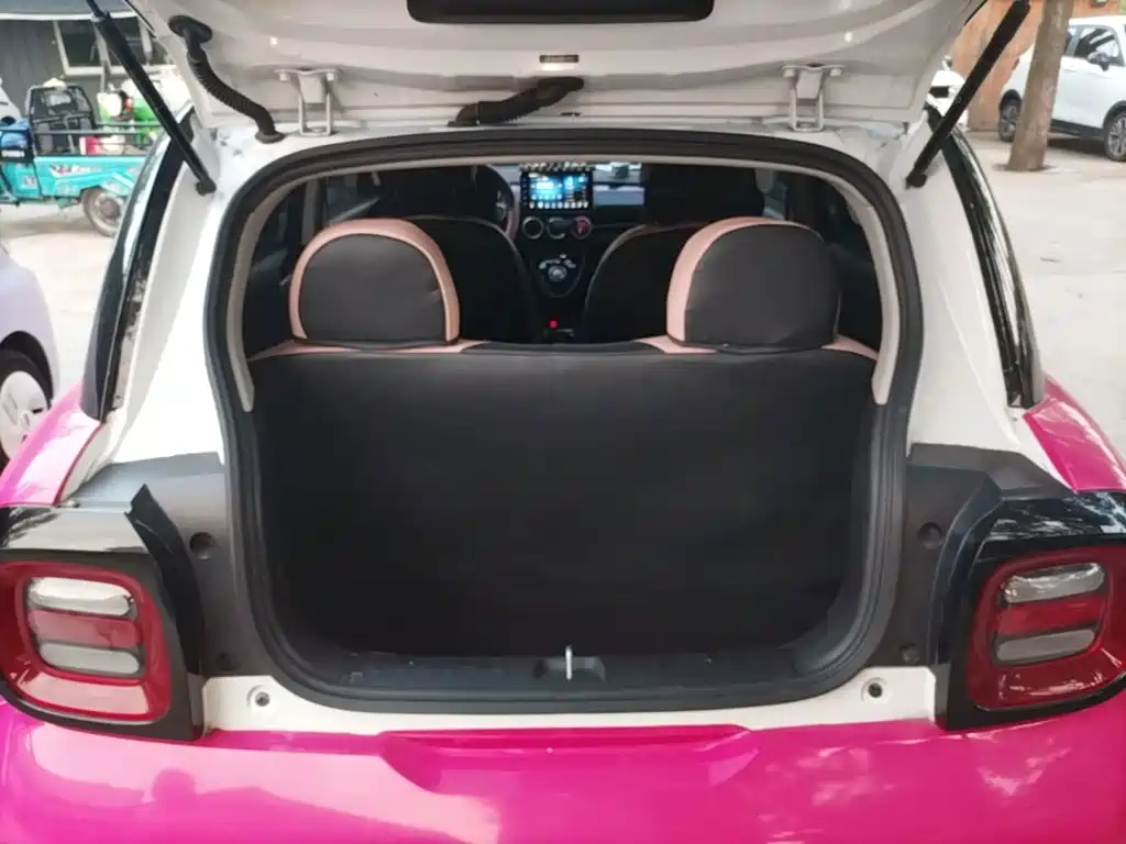 Ora Black Cat 2021 2021 351km Luxury Model