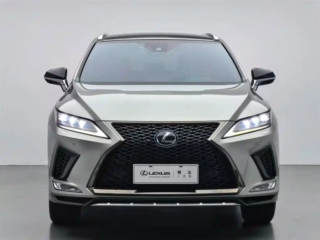 Lexus RX 2020 300 AWD F SPORT China V фото 2