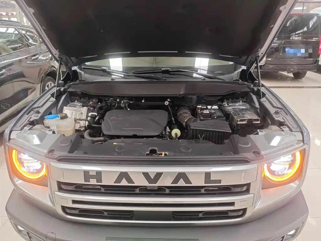 Haval Big Dog 2024 1.5T DCT Border Collie Edition фото 20