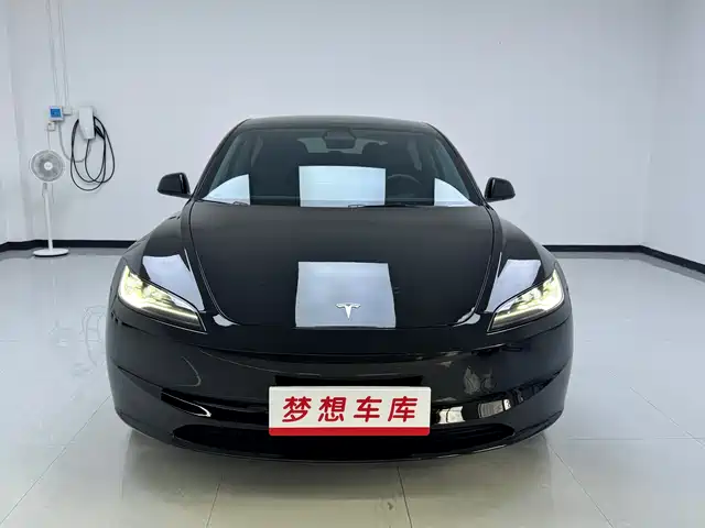Tesla Model 3 Задний привод