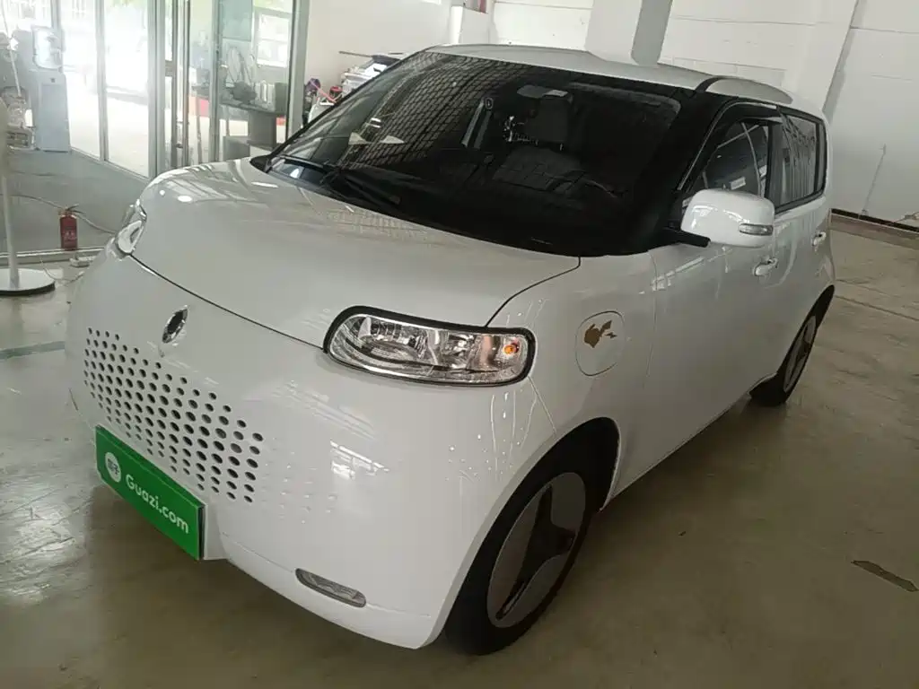 Ora White Cat 2021 2020 360km Luxury Model