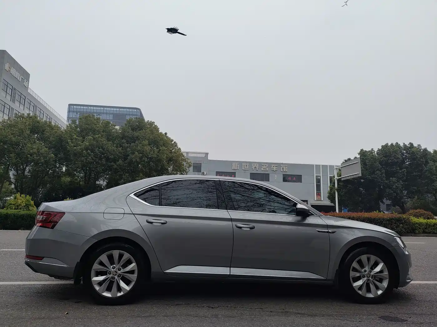 Škoda Superb 2018 TSI330 DSG Comfort Version China VI фото 7