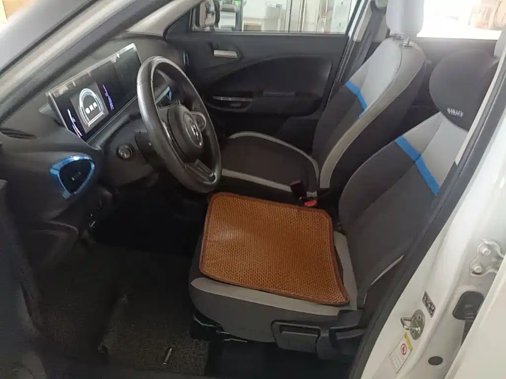 Ora White Cat 2021 2020 360km Luxury Model