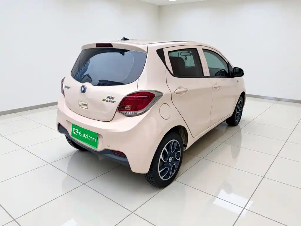 Changan Benben E-Star 2022 2022 Appreciation Edition Colorful LFP