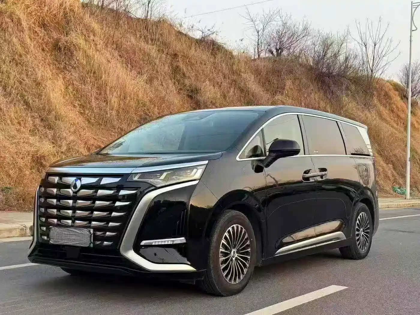 Denza D9 2022 DM-i 970 AWD Flagship