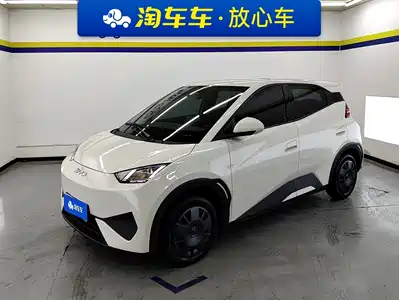 BYD Seagull