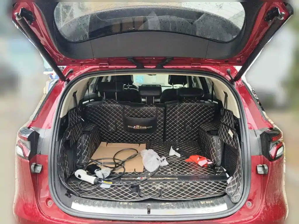 Photo 13 - BYD Tang New Energy