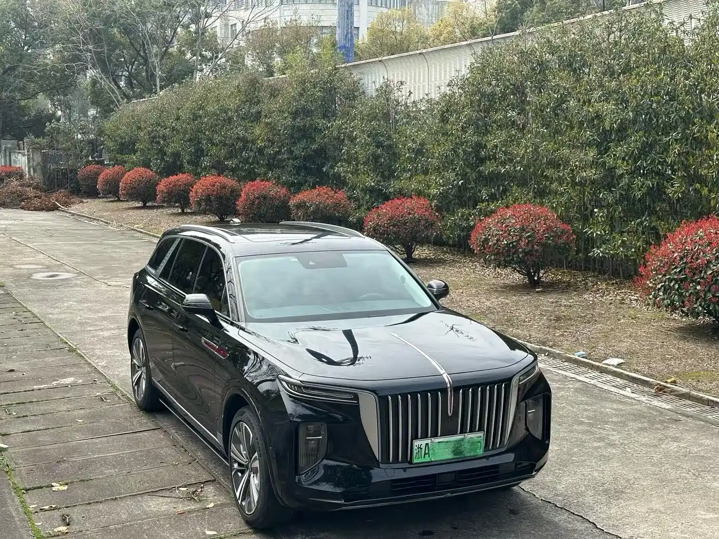 Hongqi HONGQI E HS9