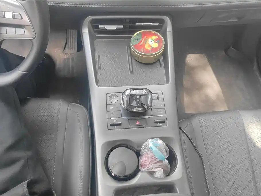 BYD Qin PLUS 2025 DM-i Smart Drive 55KM Leader фото 16