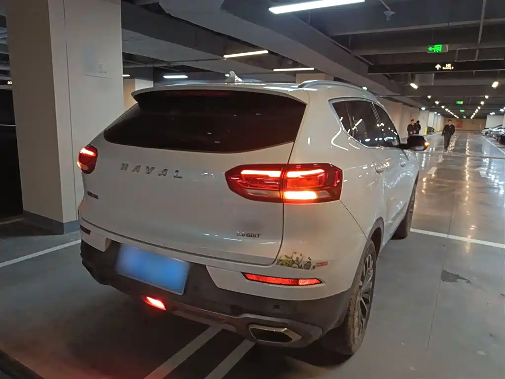 Haval H6 2020 2.0GDIT Automatic Platinum Champion Edition фото 5