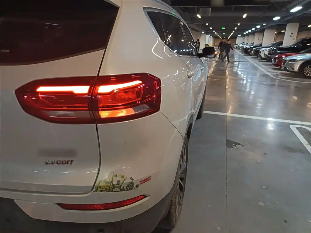 Haval H6 2020 2.0GDIT Automatic Platinum Champion Edition фото 24