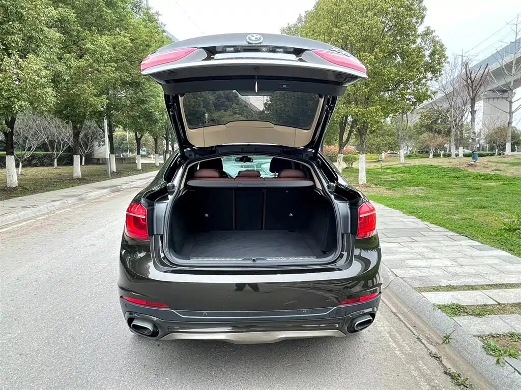 BMW X6 2017 xDrive35i Leading фото 10