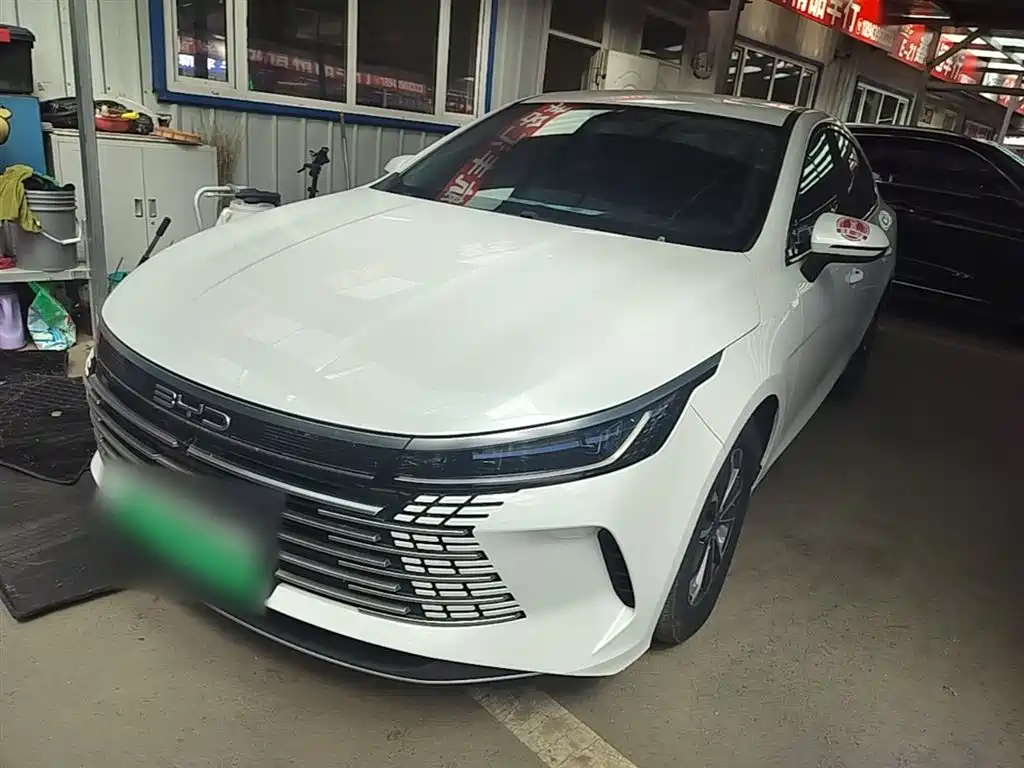 BYD Destroyer 05 2024 Glory Edition DM-i 55KM Luxury