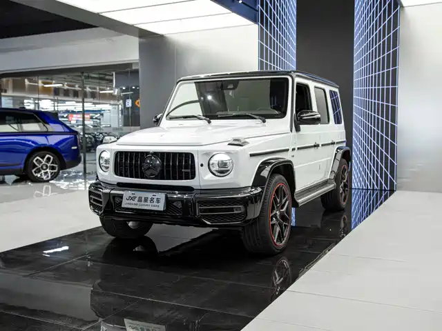 MERCEDES-BENZ G CLASS